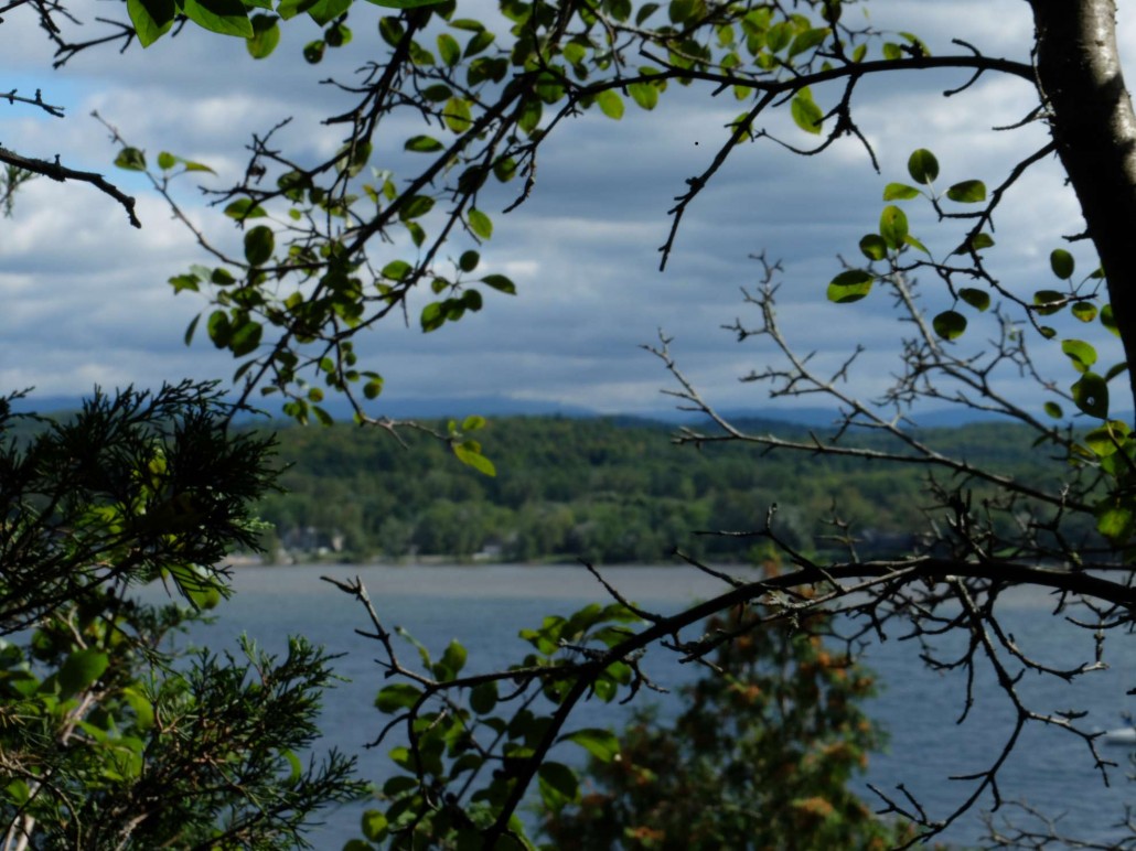 Wald, Wald, Wald – Vermont