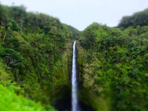 Hawaii1_7