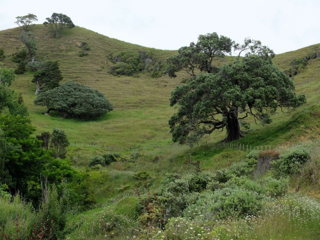Sand, Federn und tote Fliegen