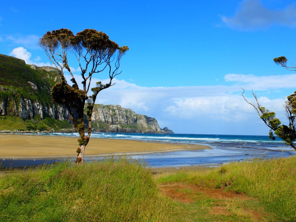 Einmal Südkurve und zurück