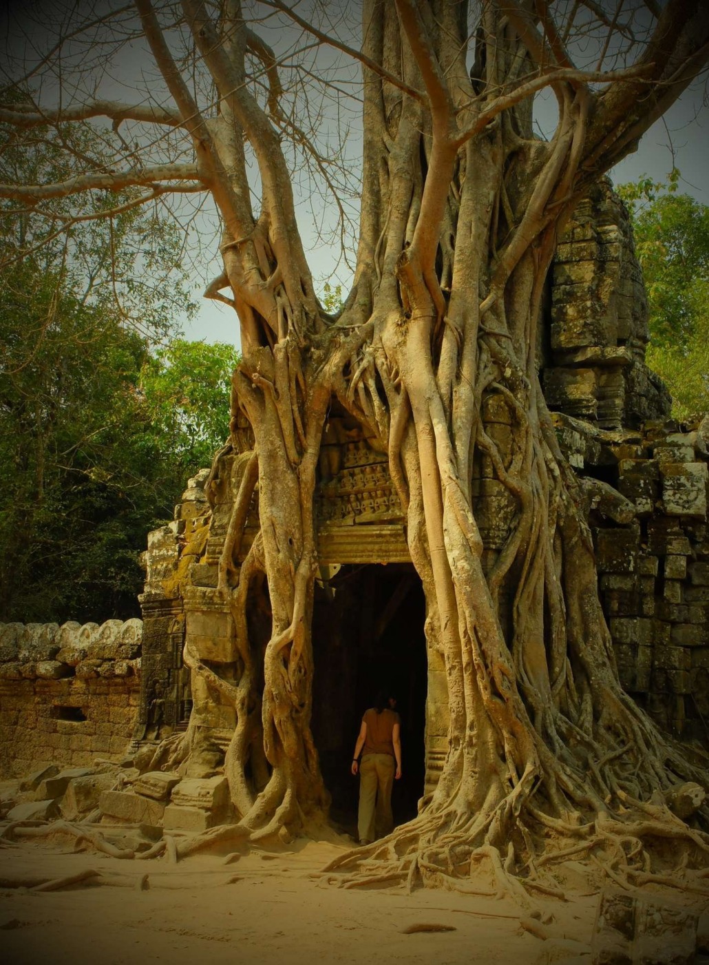 Geburtstag! Geburtstag!