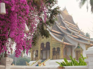 Laos1_13